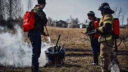 На 65% обновили парк спецтехники для тушения лесных пожаров в Подмосковье