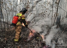 В Омской области прокуратура добивается от муниципалитетов соблюдения противопожарных норм