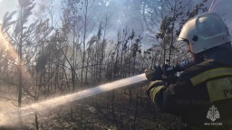 МЧС: к сезону пожаров не готовы шесть регионов России