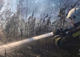 МЧС: к сезону пожаров не готовы шесть регионов России