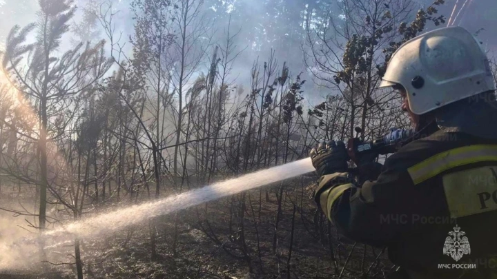 МЧС: к сезону пожаров не готовы шесть регионов России