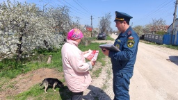 В России введен новый ГОСТ Р 72539-2026 по организации лесопожарной пропаганды