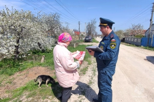 В России введен новый ГОСТ Р 72539-2026 по организации лесопожарной пропаганды