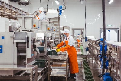 Заводы ГК «Доброфлот» оснащают софтом Macroscop