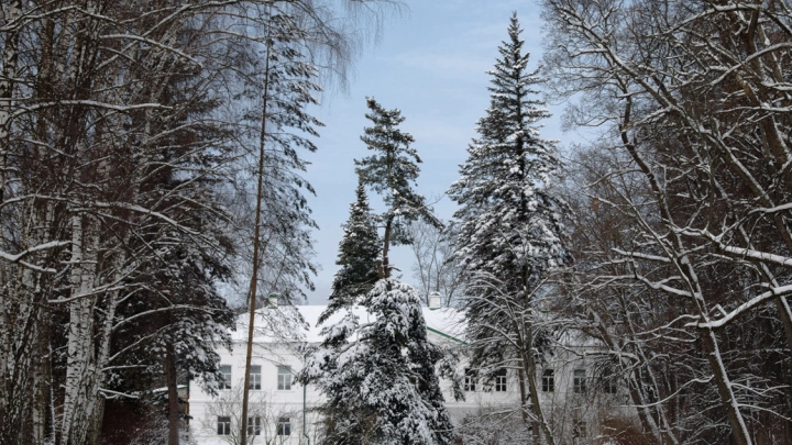 В «Ясной Поляне» отреставрируют столетнюю ригу