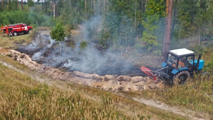 На 10% сократилось число лесных пожаров в России в 2020 году