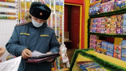 С 1 июля 2021 года в отношении решений сотрудников Госпожарнадзора установят обязательный досудебный порядок рассмотрения жалоб