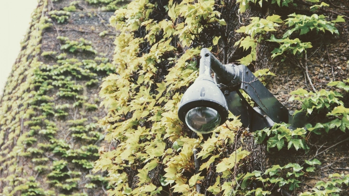 Парки и скверы в Рязани подключат к системе «Безопасный город»