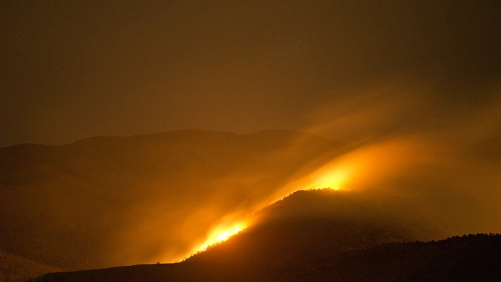 Площадь лесных пожаров в России в 2021 году может достигнуть 15 млн гектаров