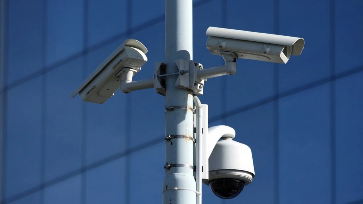 Обзор закупок за период с 26 июля по 1 августа 2021 года