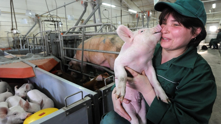 Компания «Агро-Белогорье» показала своё производство изнутри