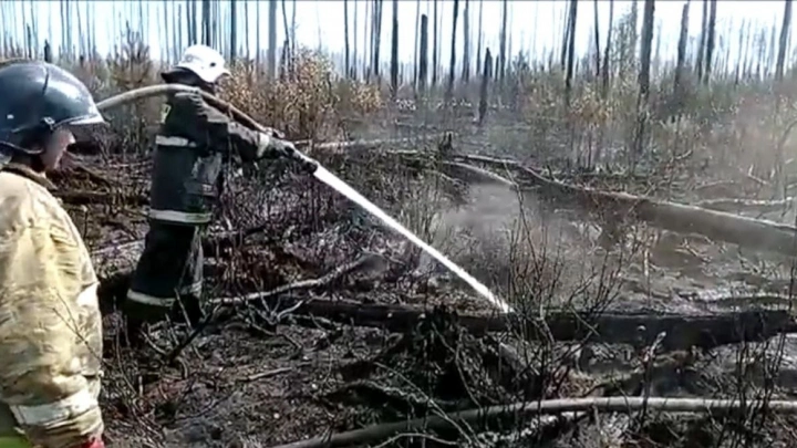 14 млрд рублей выделят регионам на борьбу с лесными пожарами в 2022 году