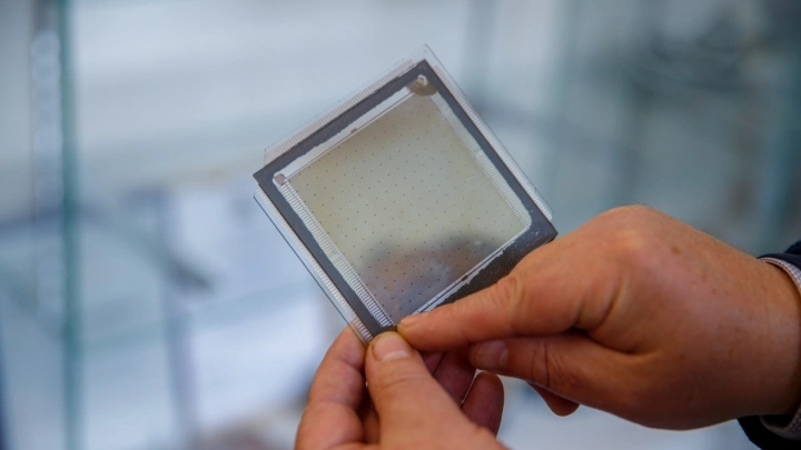В ИИФиРЭ СФУ появится мини-фабрика по производству чипов