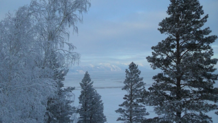 Лесничества Бурятии приобретут видеорегистраторы для фиксации нарушений