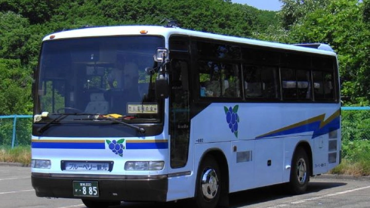 Российский союз туриндустрии предлагает проводить техосмотр автобусов раз в год