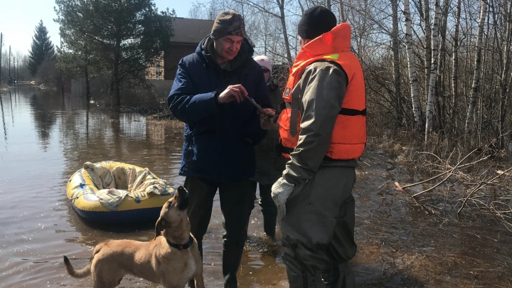 Актуализирован национальный стандарт «Безопасность в ЧС. Паспорт безопасности административно-территориальных единиц. Общие положения»