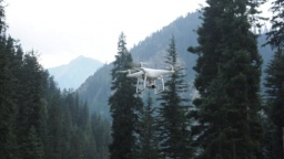 Видеокамеры помогут следить за безопасностью лесов в Свердловской области