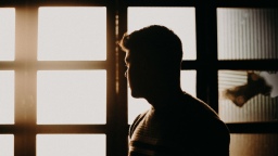 В 35 странах внедрена система распознавания по силуэту VisionLabs