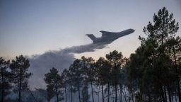 Более 1,5 млрд рублей выделит регионам Правительство РФ на ликвидацию лесных пожаров