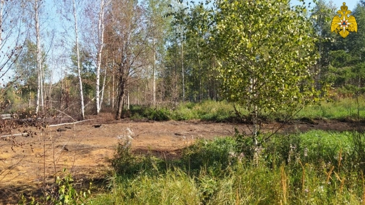 Камеры видеонаблюдения в Подмосковье контролируют пожарную обстановку на торфяниках