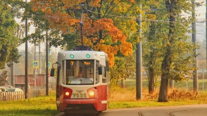 В Петербурге запустят первый в России полигон для сертификации беспилотного транспорта