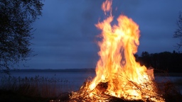 Собственников земельных участков обяжут самостоятельно тушить пожары