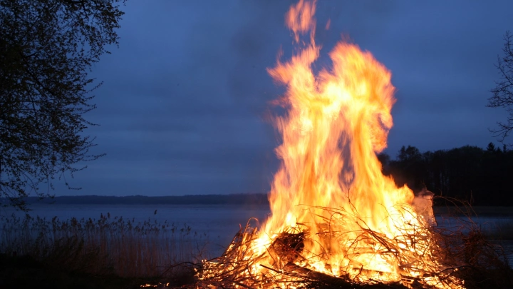 Собственников земельных участков обяжут самостоятельно тушить пожары