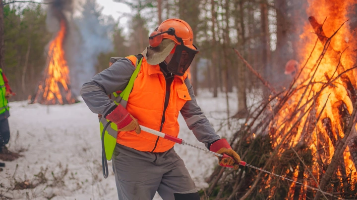 В Югре систему видеонаблюдения «Лесохранитель» внедрят в АПК «Безопасный город»