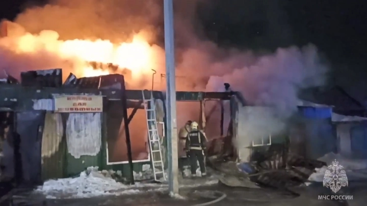 МЧС России намерено инициировать введение лицензирования частных социальных объектов