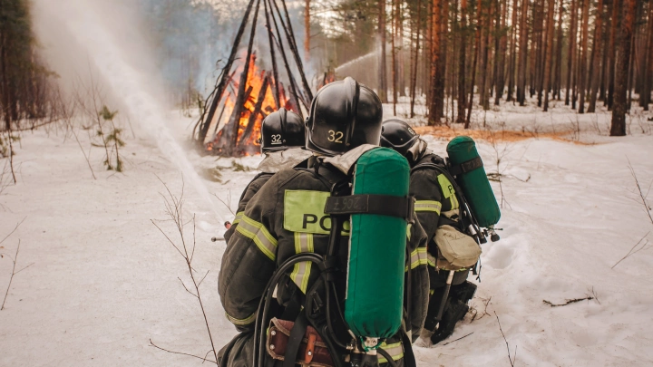 Нейросеть заметит лесной пожар в радиусе 20 километров