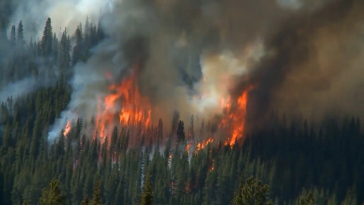 В Иркутской области расширят сеть видеонаблюдения для обнаружения очагов лесных пожаров
