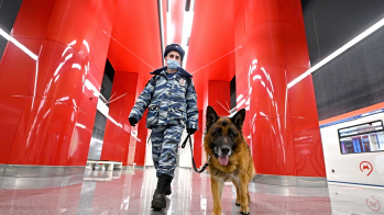 Московский метрополитен ищет подрядчика для оказания охранных услуг