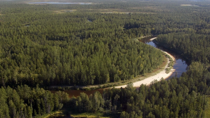 Очаги лесных пожаров на Ямале будут выявлять с помощью видеокамер и беспилотников