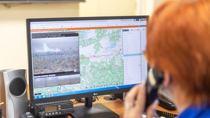 Правительство Псковской области дополнительно закупит камеры видеонаблюдения для мониторинга лесных пожаров