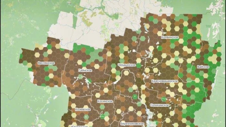 В Пермском крае лесные пожары будет прогнозировать искусственный интеллект