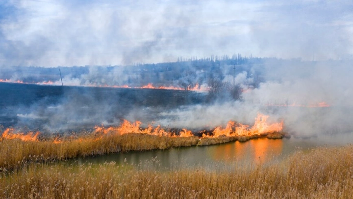 Госдума рассмотрит в первом чтении законопроект о тушении природных пожаров региональными органами власти