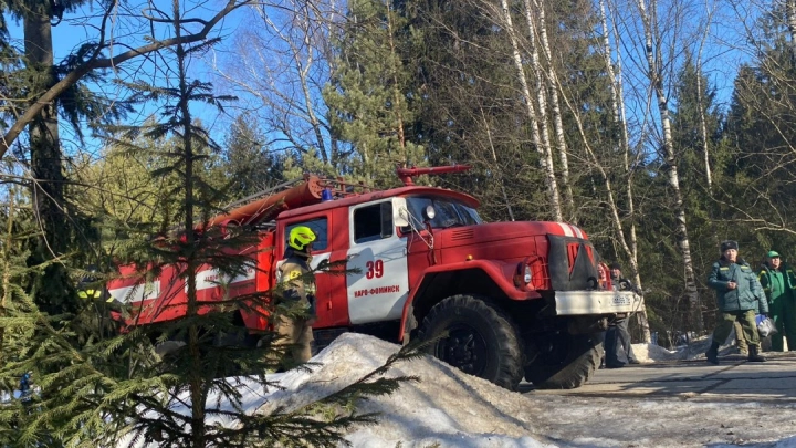 Видеоаналитика поможет контролировать пожарную обстановку в лесах Подмосковья
