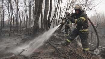 600 населенных пунктов и СНТ находятся под угрозой лесных пожаров в Свердловской области