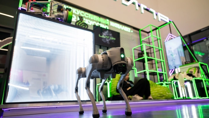 10 тысяч участников, технологичные новинки, международные подписания — главные итоги ЦИПР-2024