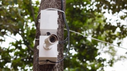 Умная система на базе ИИ обеспечивает безопасность горнолыжного курорта «Бобровый лог» в Красноярске