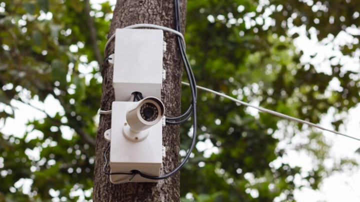 Умная система на базе ИИ обеспечивает безопасность горнолыжного курорта «Бобровый лог» в Красноярске