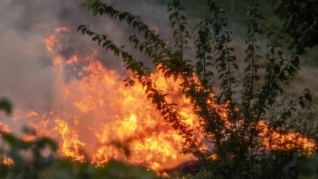 Разработка резидента технопарка «Якутия» в пять раз ускорила поиск лесных пожаров
