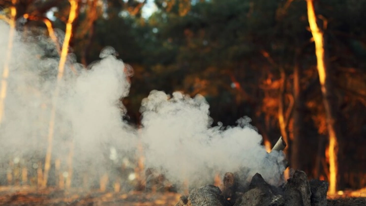 140 камер закупит Свердловская область для выявления лесных пожаров