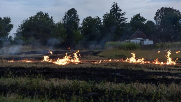 Региональные власти обязали разрабатывать планы по тушению ландшафтных пожаров