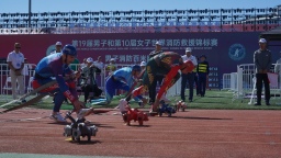 Итоги состязаний по пожарно-спасательному спорту: 4 мировых рекорда и заслуженное «золото»