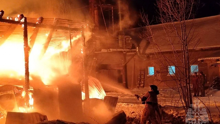 Свыше 600 уголовных дел возбуждено по факту пожаров в 2024 году