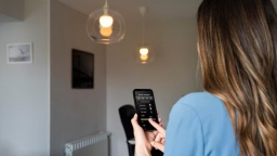 Era Capital инвестировала 1,5 млрд рублей в разработчика для систем умного дома Rubetek