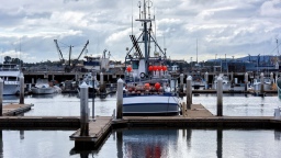 Управление автомобильных дорог и транспорта Пермского края ищет подрядчика для техобслуживания ТСОТБ причалов речного вокзала