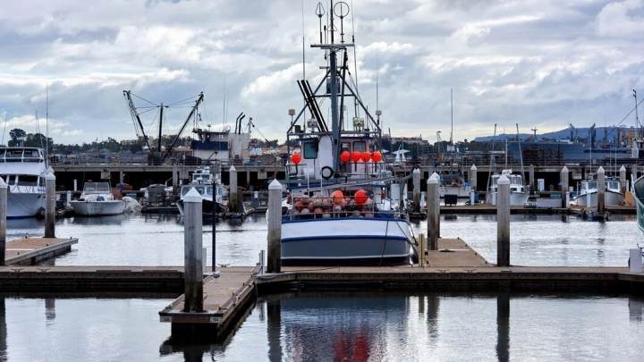 Управление автомобильных дорог и транспорта Пермского края ищет подрядчика для техобслуживания ТСОТБ причалов речного вокзала