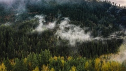 МЧС России применяет беспилотники для борьбы с пожарами в Крыму